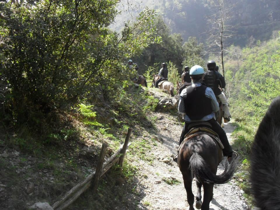 B&B Oliva Scala Εξωτερικό φωτογραφία
